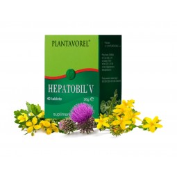 HEPATOBIL V, 40 tablete